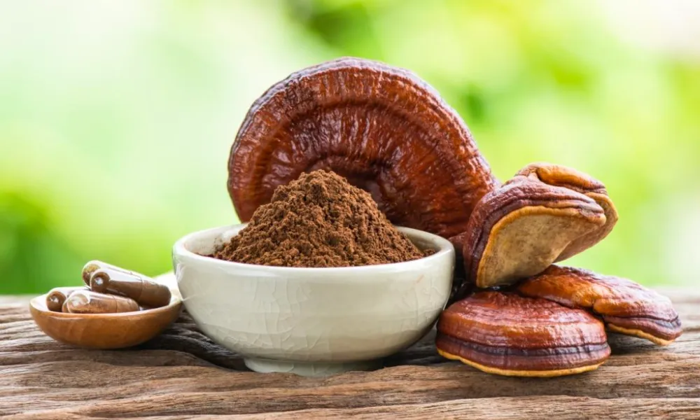 Lợi khuẩn và các sản phẩm từ lợi khuẩn